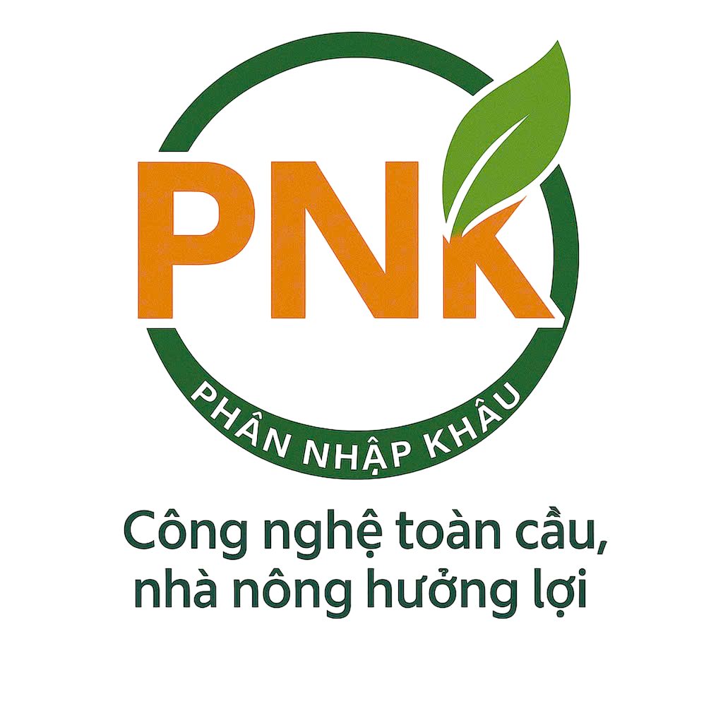 PNK